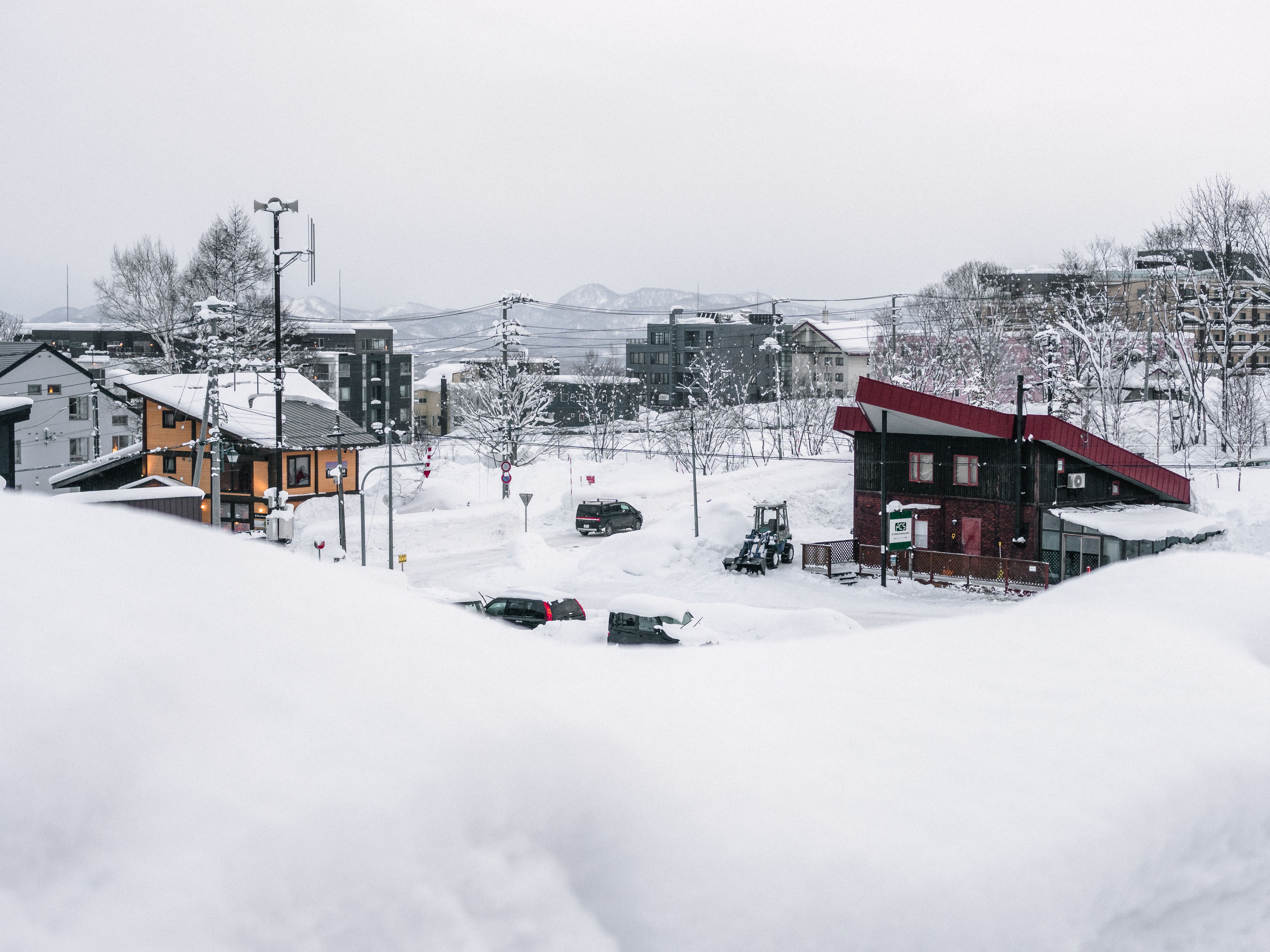 北海道雪景